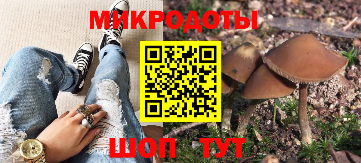 Галлюциногенные грибы прущие грибы  Вход с VPN  что такое наркотик  Котовск 