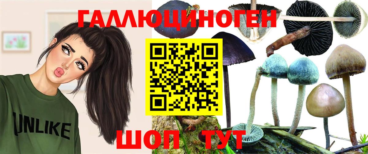 Галлюциногенные грибы мицелий Котовск